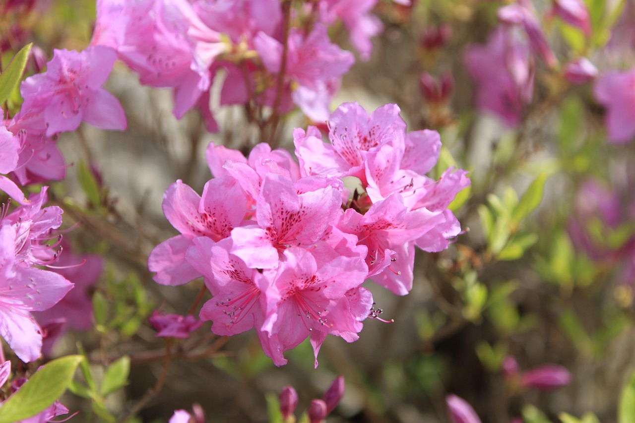 포항 남구 포장이사