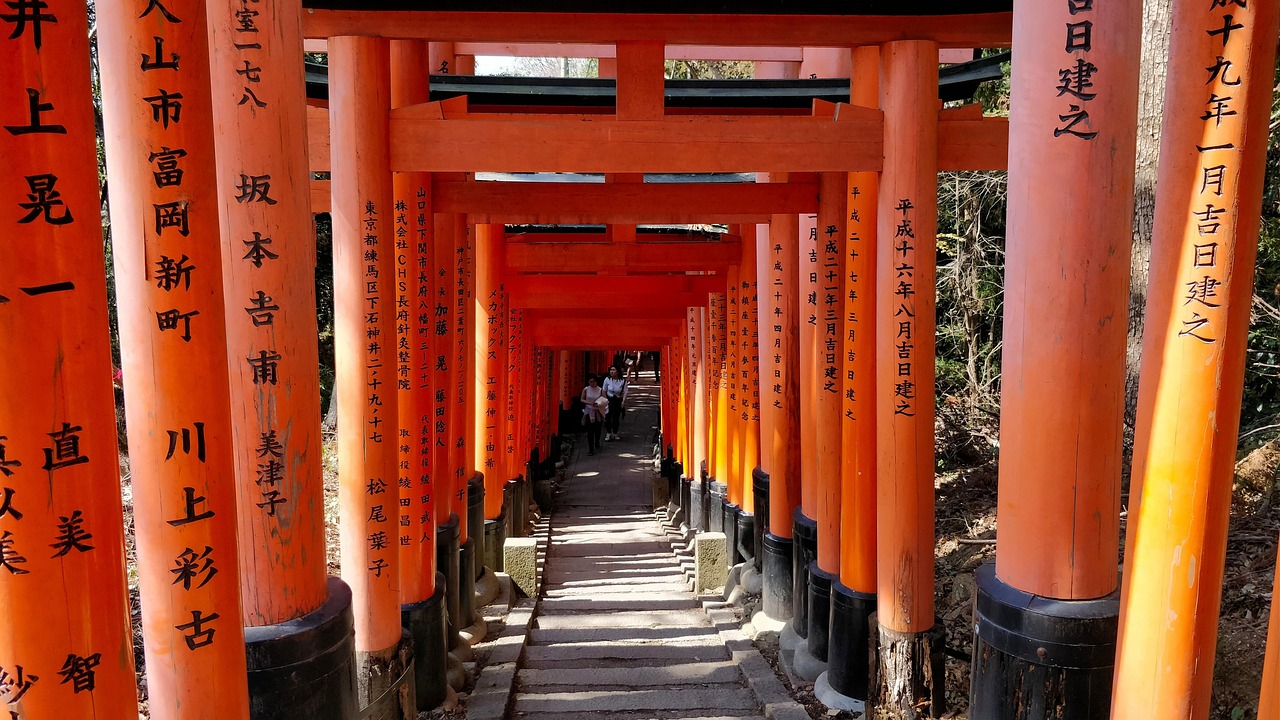 창원 진해구 포장이사