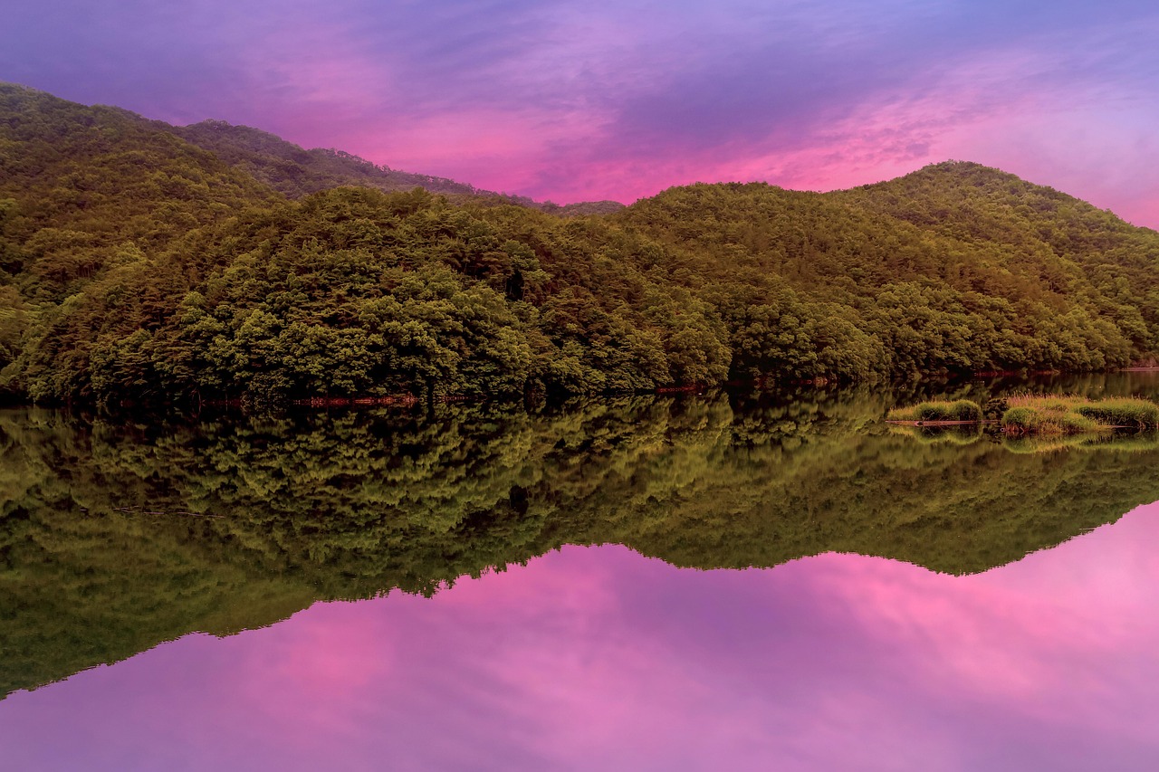 광주 동구 포장이사