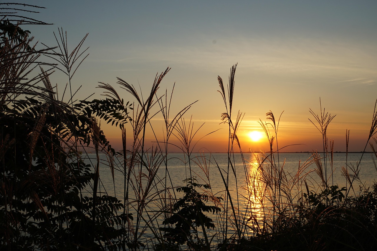 안산 상록구 포장이사