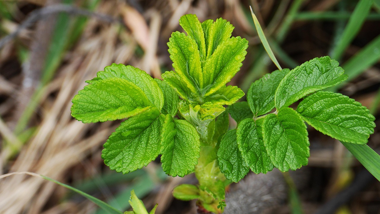 인천 계양구 포장이사