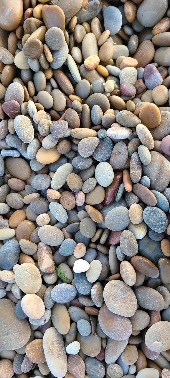 인천 미추홀구 포장이사