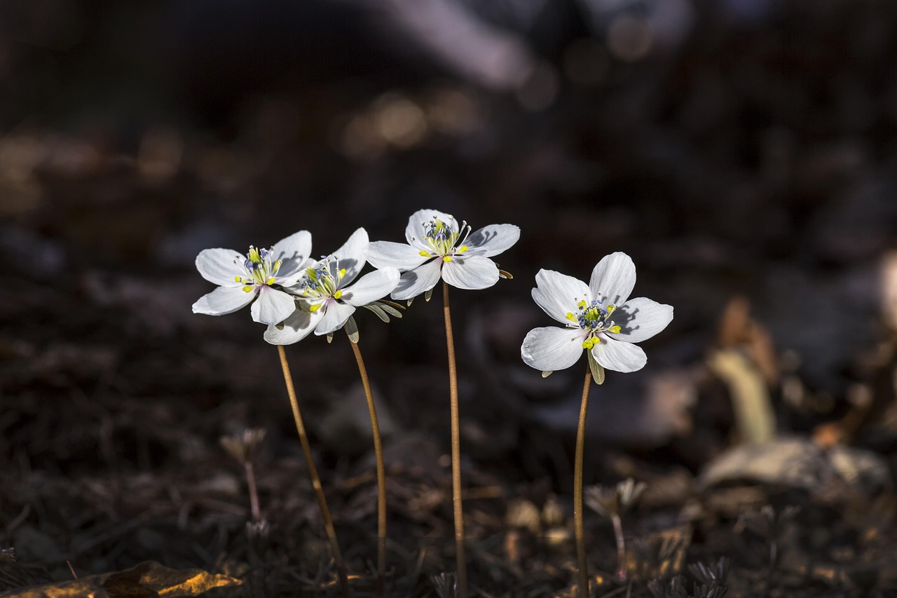 마산 이삿짐센터 잘하는 곳 추천 top.3 포장이사 비용 싼 업체 실제 후기(내돈내산)