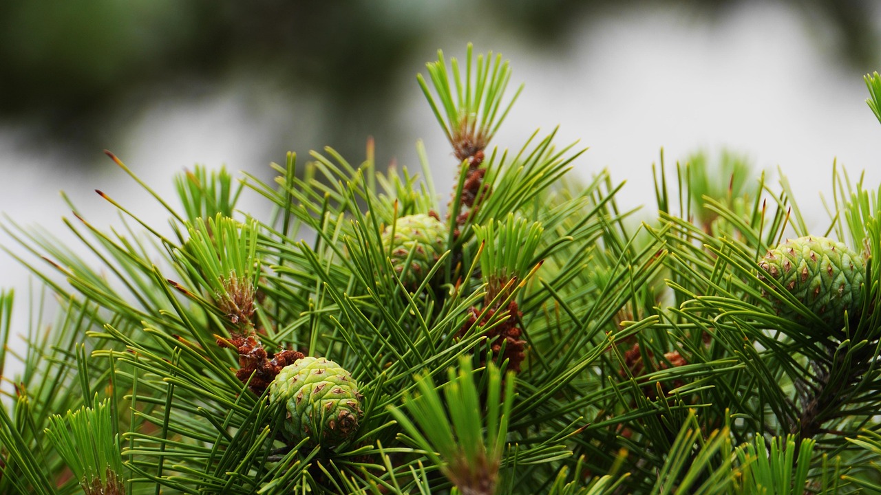부산 북구 이삿짐센터 잘하는 곳 추천 top.3 포장이사 비용 싼 업체 실제 후기(내돈내산)