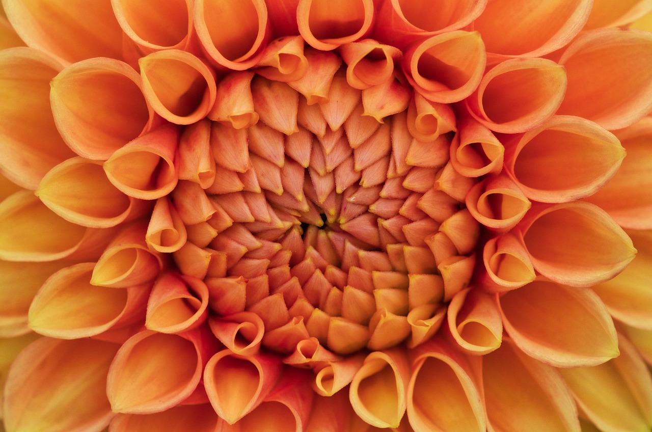 구리 이삿짐센터 잘하는 곳 추천 top.3 포장이사 비용 싼 업체 실제 후기(내돈내산)