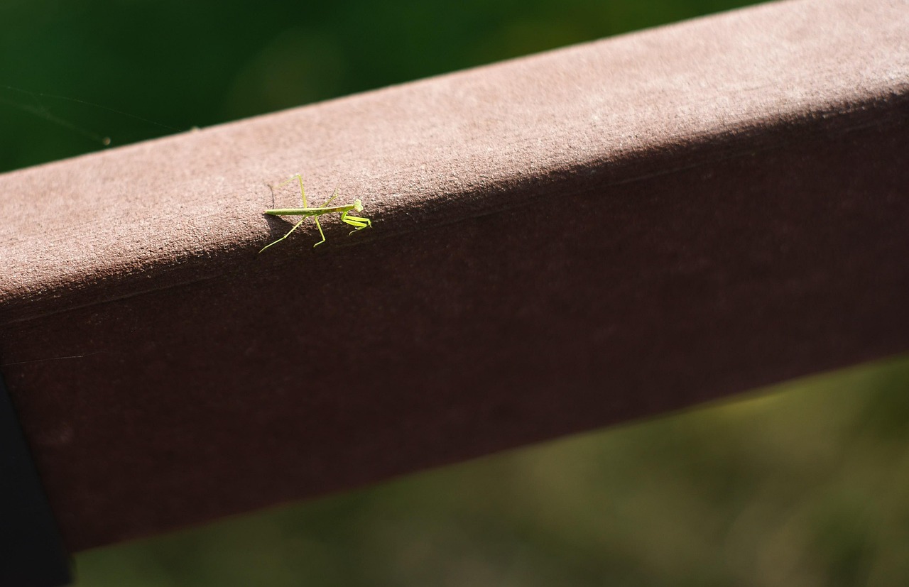 부산 기장 이삿짐센터 잘하는 곳 추천 top.3 포장이사 비용 싼 업체 실제 후기(내돈내산)